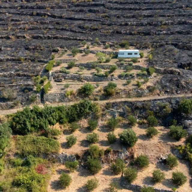 Nikin maslinik i pravi dokaz da će održavanu parcelu zaobići požar