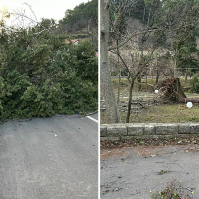 Pijavica je poharala Novigrad