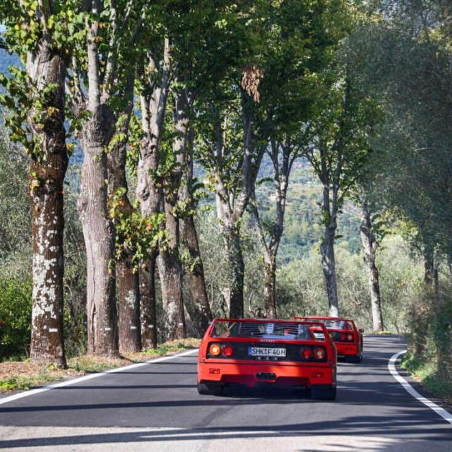 Ferrari F40, ilustracija