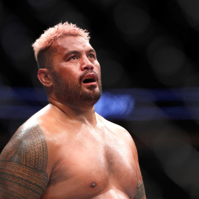  Mark Hunt 