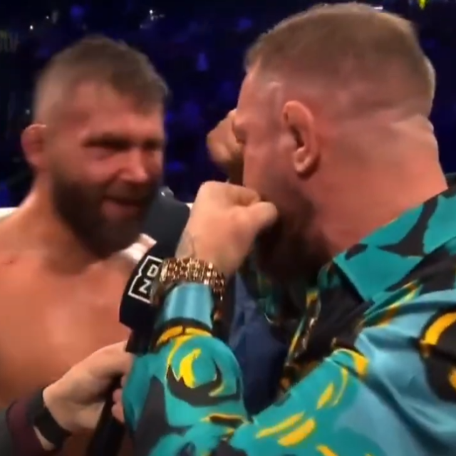 Jeremy Stephens i Conor McGregor