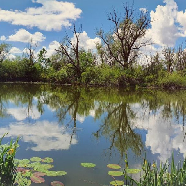 Jezero Savica