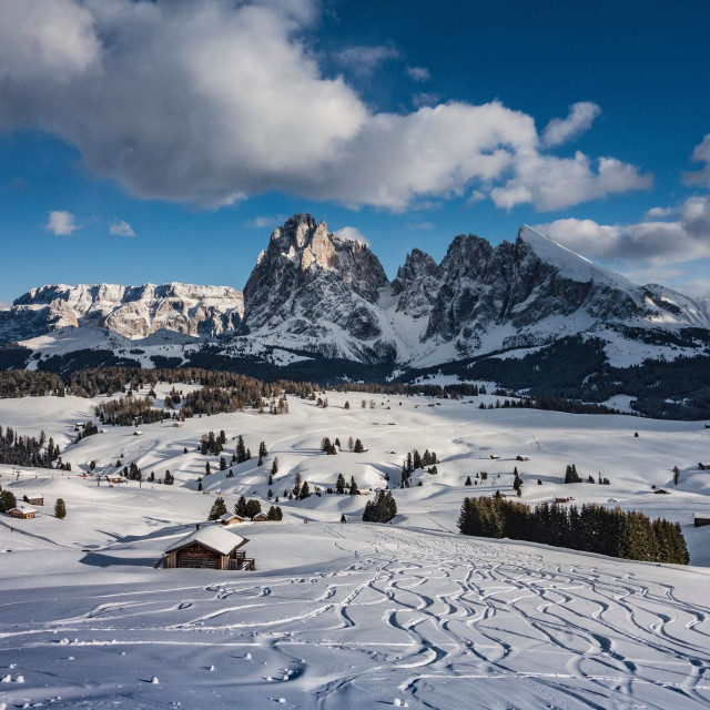 Plato Alpe di Siusi u Južnom Tirolu na sjeveru Italije