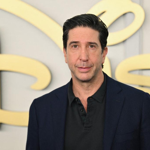 David Schwimmer