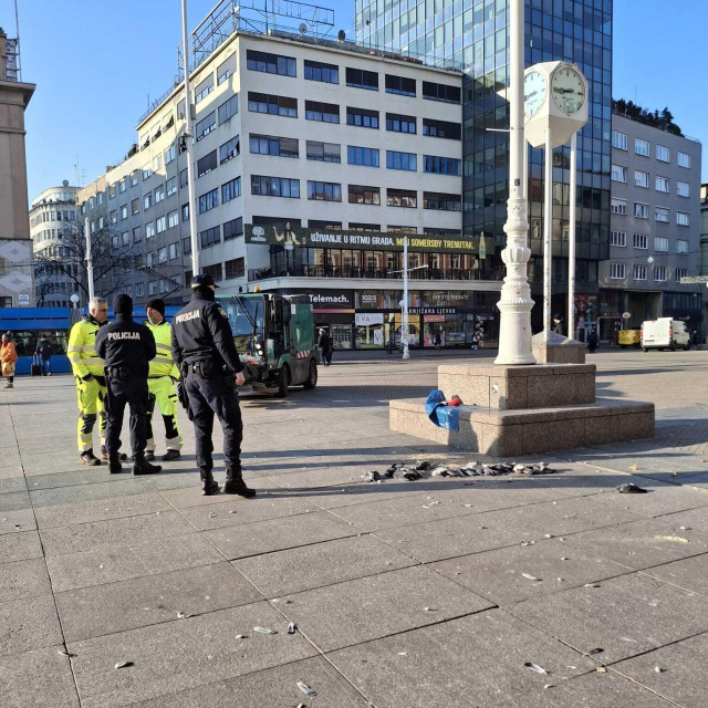 Na teren su izašli komunalci i policija