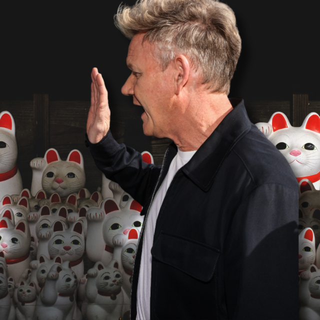 Gordon Ramsay ima velikih problema s Maneki-neko, mačkom koja donosi sreću