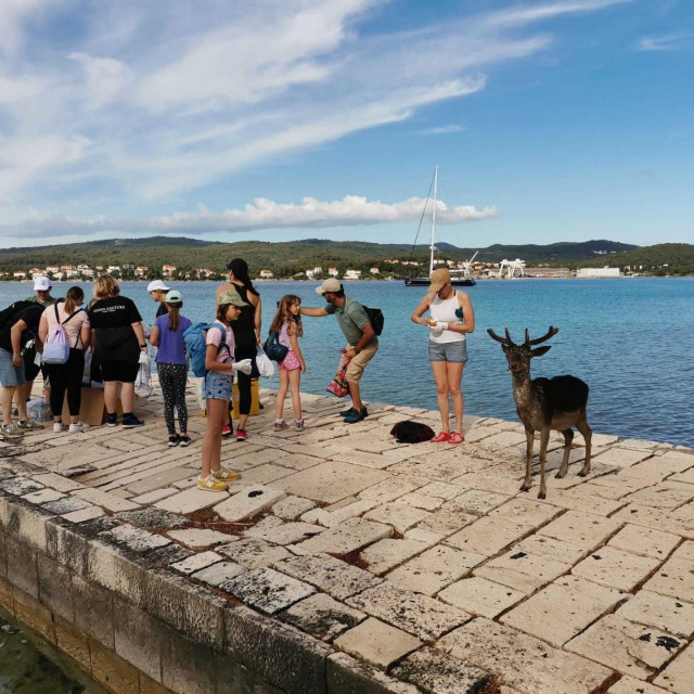 Od izvora do mora - prošlogodišnja akcija čišćenja na Korčuli