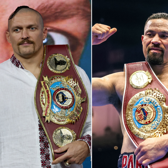 Oleksandr Usyk, Joseph Parker