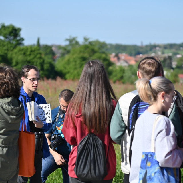 Promatranje ptica u Križevcima, ilustrativna fotografija