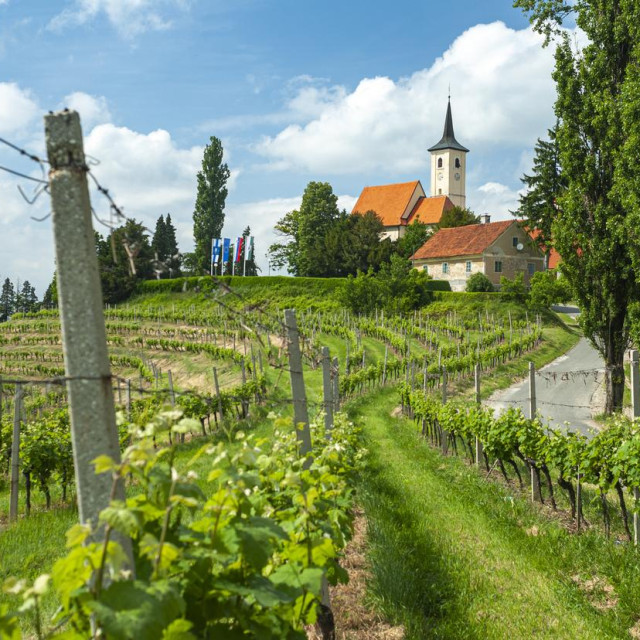 The small village of Jeruzalem in the famous wine-growing region of Prlekija in northern Slovenia.