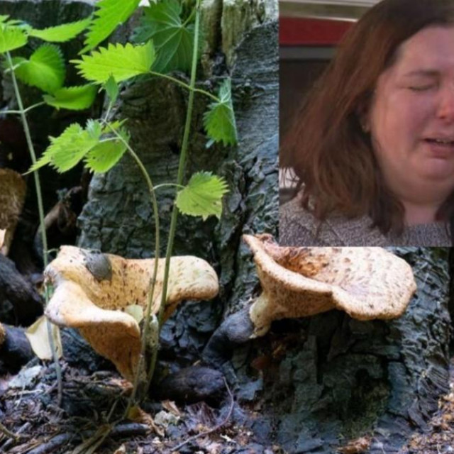 Erin Patterson skuhala ručak s otrovnim gljivama