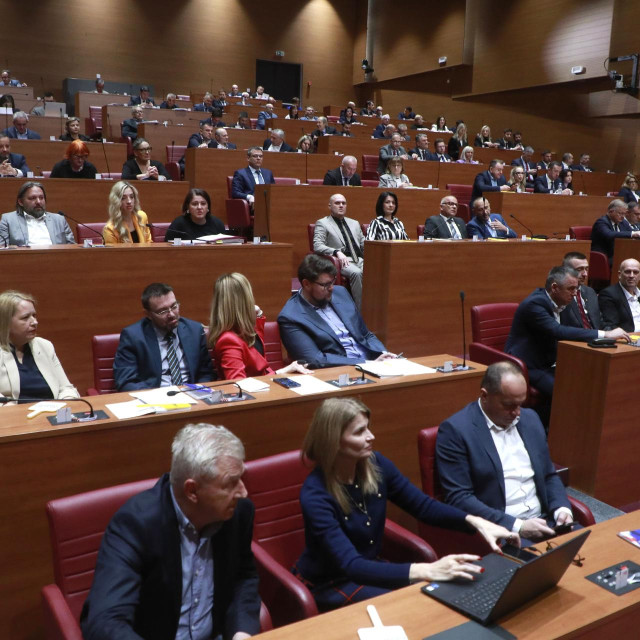 Gradonačelnicima ili načelnicima općina željelo bi postati još 15 zastupnika dok su šestero kandidati za zamjenike gradonačelnika