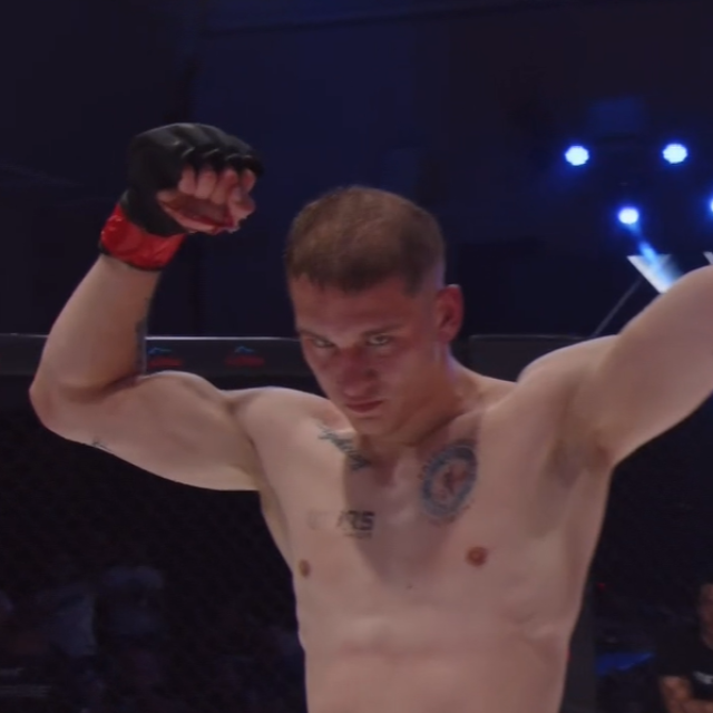 Ilija Brkan