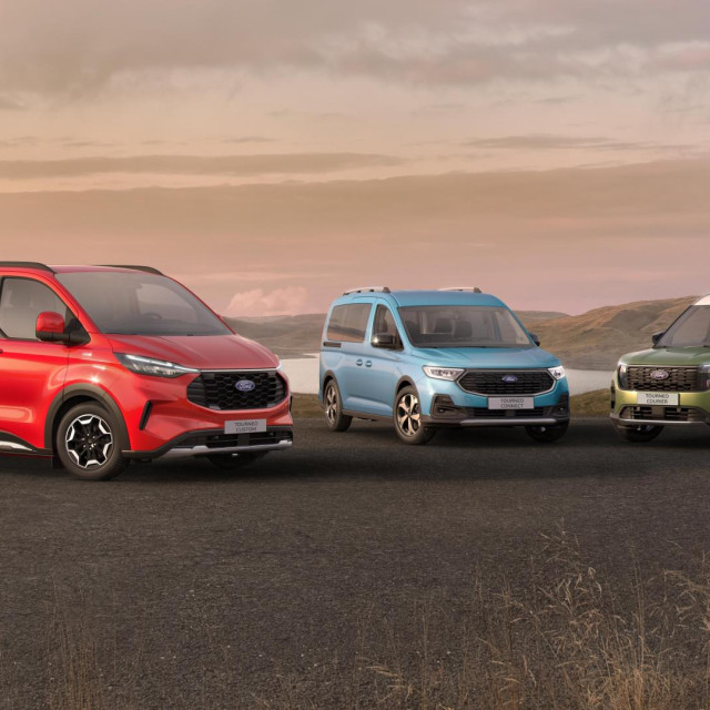 Ford Tourneo gama