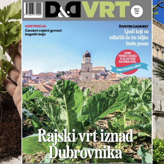 Novi broj magazina D&D vrt