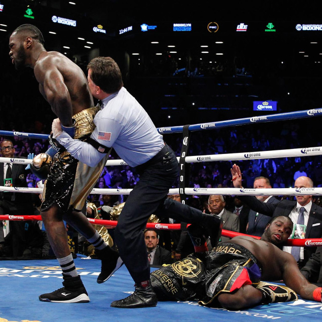 Deontay Wilder vs. Bermane Stiverne