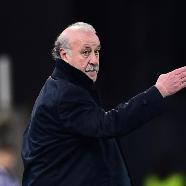 Vicente Del Bosque