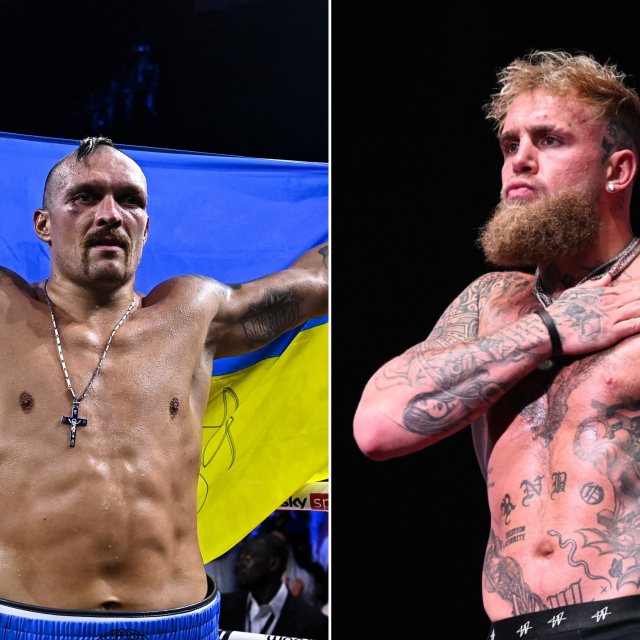 Oleksandr Usik, Jake Paul