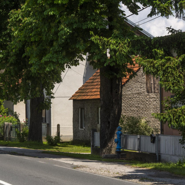 Obiteljske kuće u Brezovici