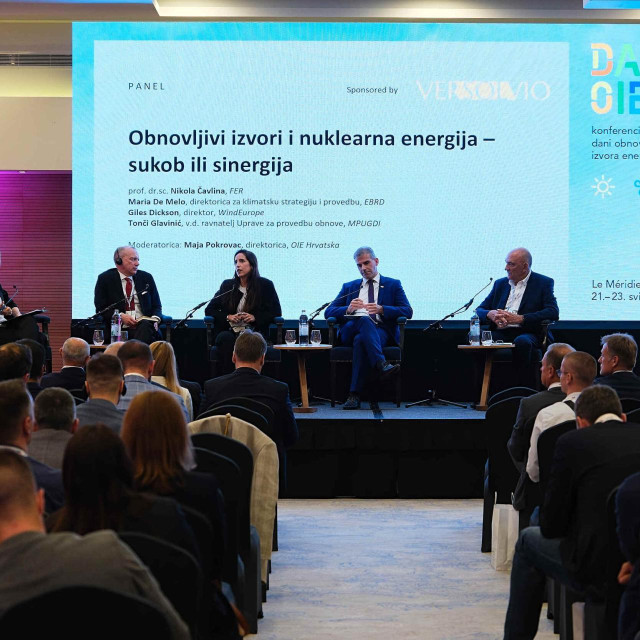Panel OIE i nuklearna energija