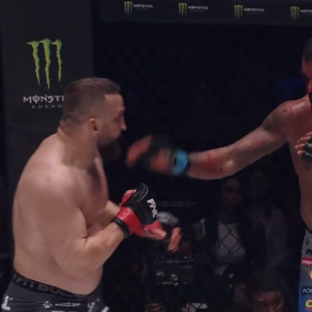 Miran Fabjan vs. Hatef Moeil